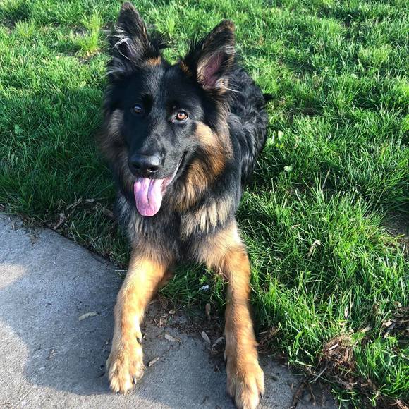 Meet your Posher, James - Picture 1 of 1